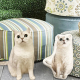 Custom Face Pillows from Pictures of Love Pets/Persons on it Personalized 3d Photo Pillow - 1 Pet - Furr and Family