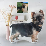 Custom Face Pillows from Pictures of Love Pets/Persons on it Personalized 3d Photo Pillow - 1 Pet - Furr and Family
