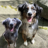 Custom Face Pillows from Pictures of Love Pets/Persons on it Personalized 3d Photo Pillow - 1 Pet - Furr and Family