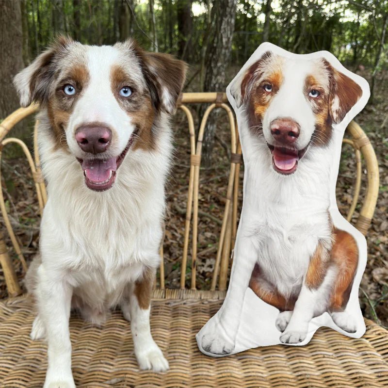 Custom Face Pillows from Pictures of Love Pets/Persons on it Personalized 3d Photo Pillow - 1 Pet - Furr and Family