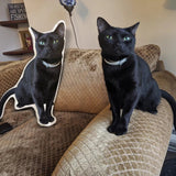 Custom Face Pillows from Pictures of Love Pets/Persons on it Personalized 3d Photo Pillow - 1 Pet - Furr and Family