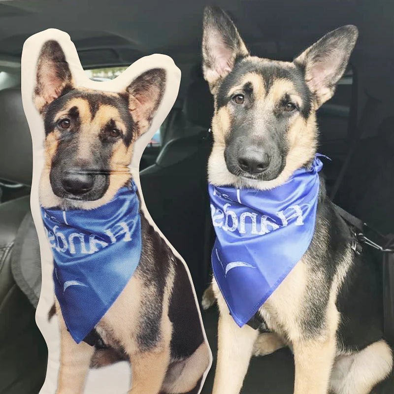 Custom Face Pillows from Pictures of Love Pets/Persons on it Personalized 3d Photo Pillow - 1 Pet - Furr and Family