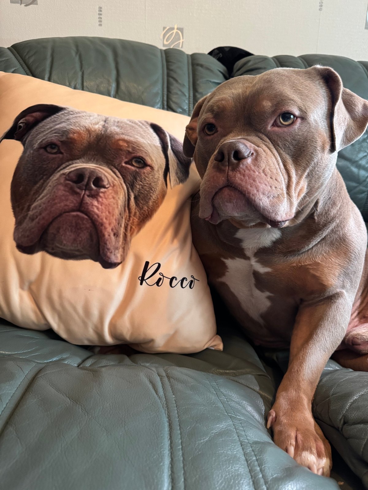 Custom Pillows