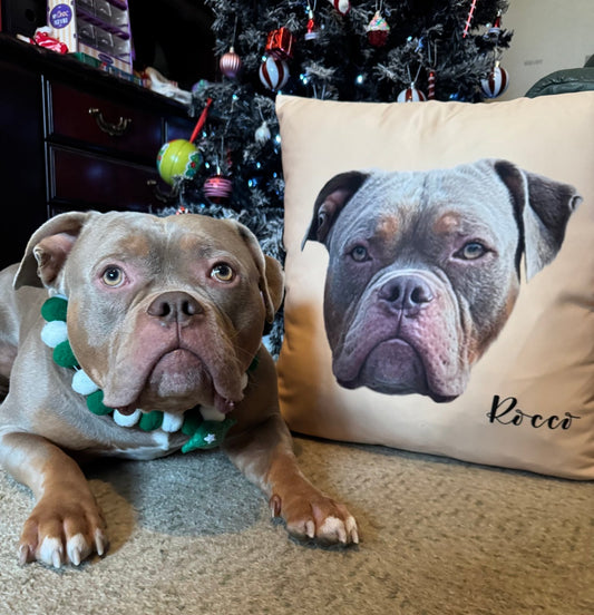 Custom Pet Face Oil Painting Square Pillow - 1 Pet - Furr and Family