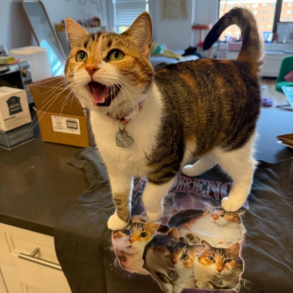 Custom Vintage Style Pet Mom & Dad Tshirts - Sweatshirts & Hoodies - Vintage Print Apparel - 1 Pet - Furr and Family