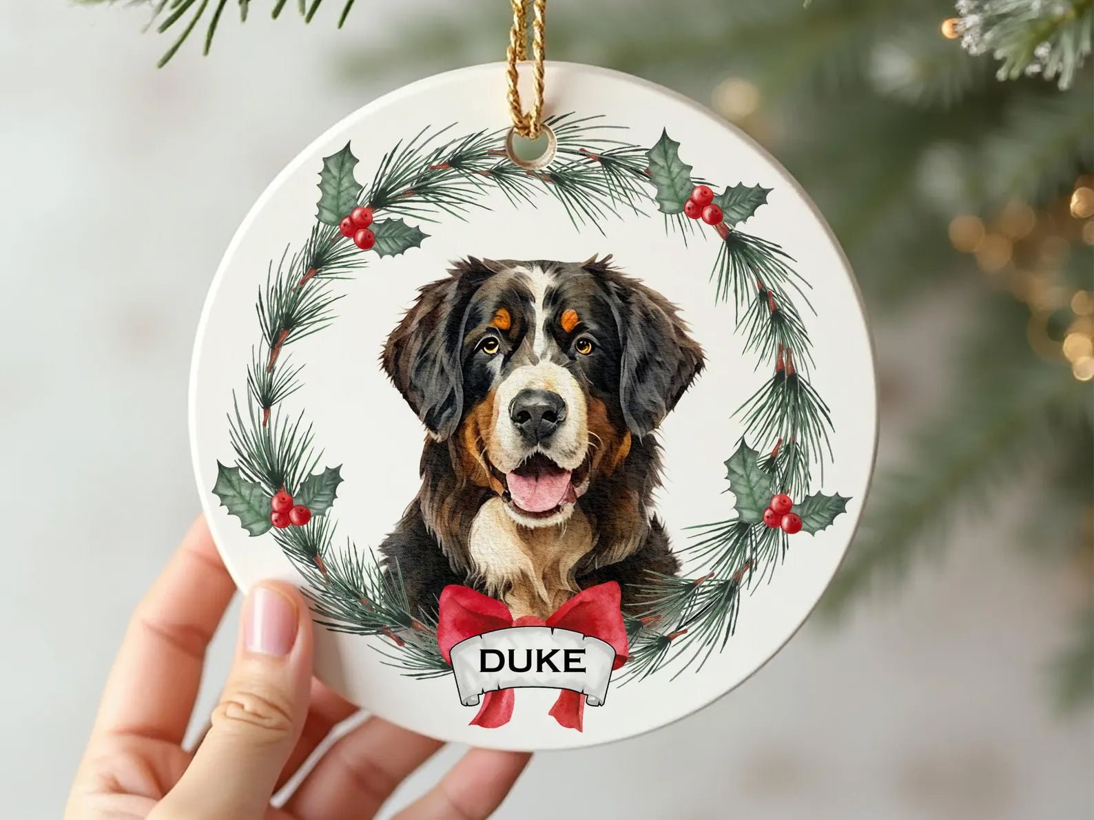 Customized Ornament a - Keepsake Christmas Ornament Gift - 1 Pet - Furr and Family