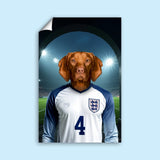 Declan Paw - fect – England Football Pet Art - 1 Pet - Furr and Family