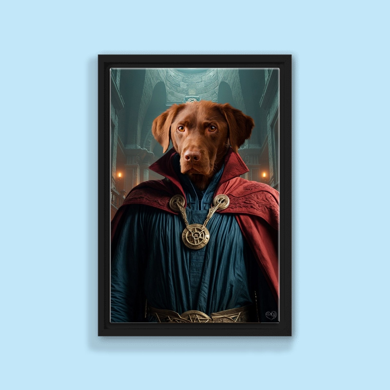 Doctor Strange – Custom Pet Portrait - 1 Pet - Furr and Family