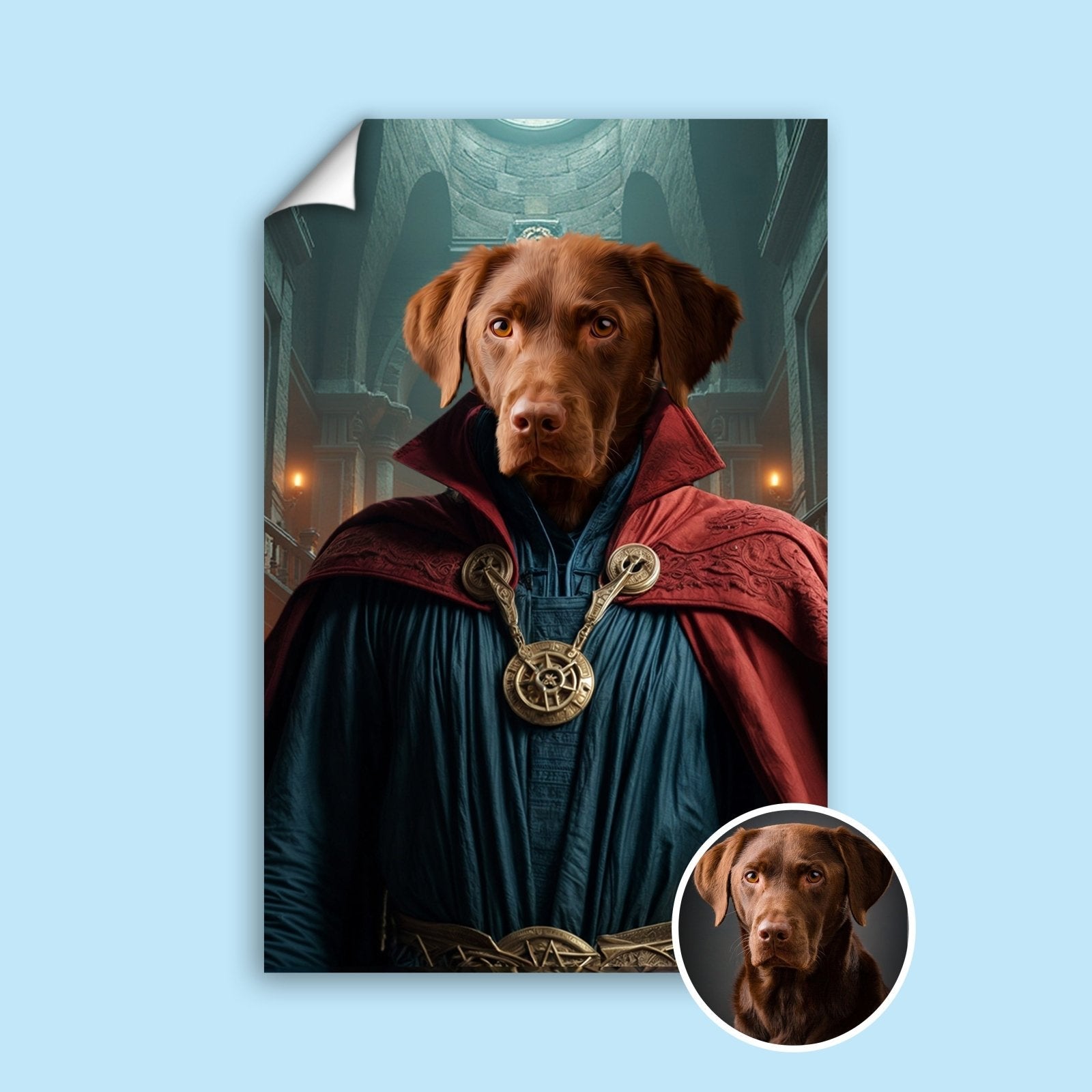 Doctor Strange – Custom Pet Portrait - 1 Pet - Furr and Family