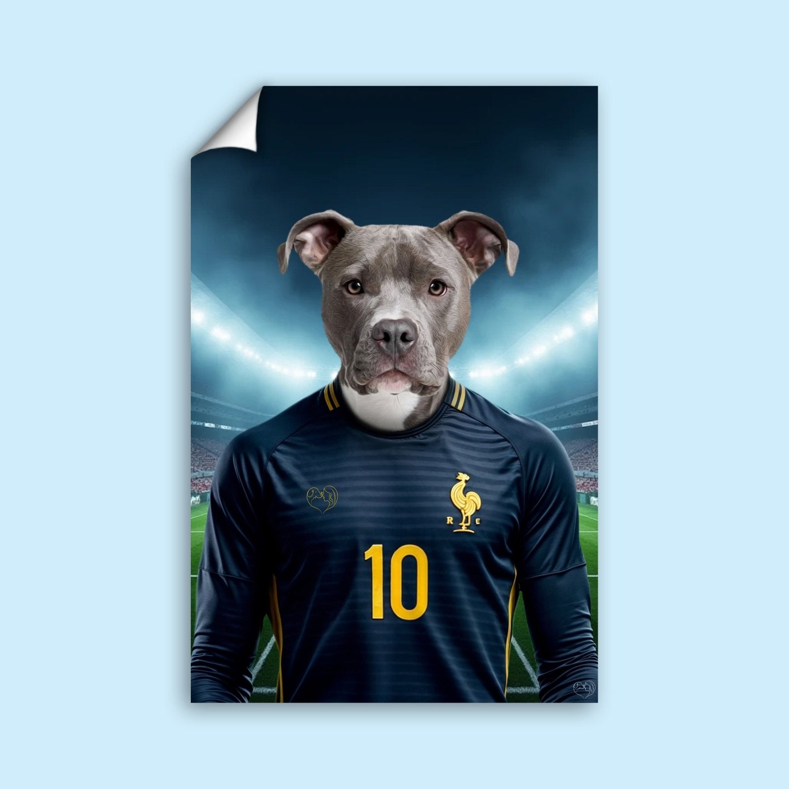 Kylian Mbappaw – Custom French Football Pet Portrait - 1 Pet - Furr and Family