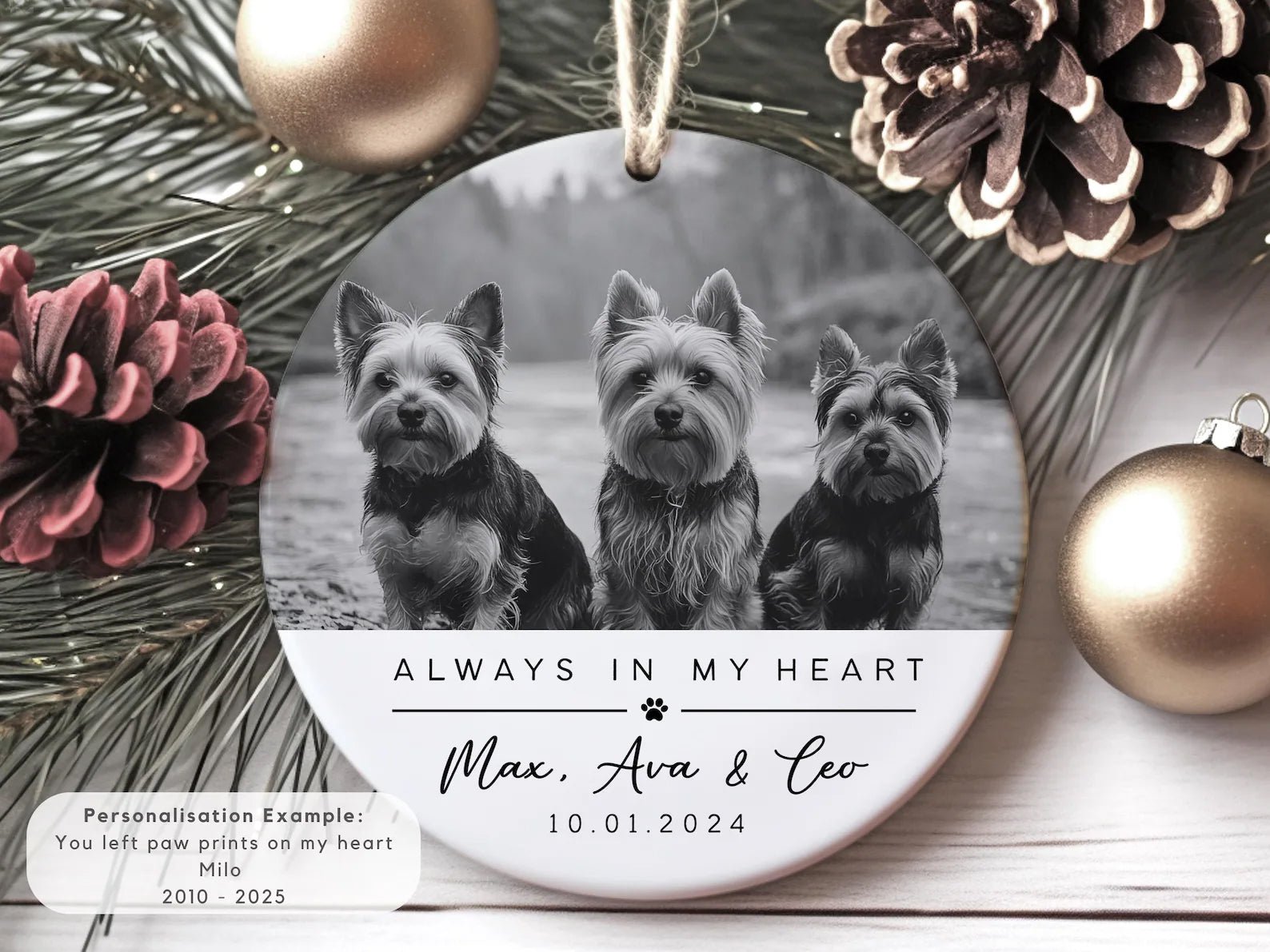 Memorial Ornament a - Keepsake Christmas Ornament Gift - 1 Pet - Furr and Family