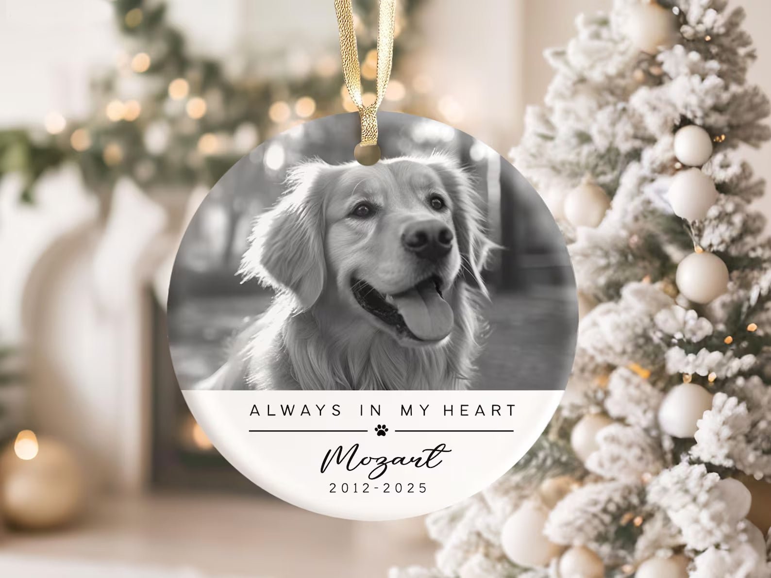 Memorial Ornament a - Keepsake Christmas Ornament Gift - 1 Pet - Furr and Family
