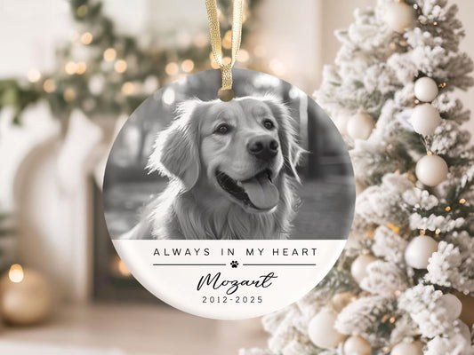 Memorial Ornament a - Keepsake Christmas Ornament Gift - 1 Pet - Furr and Family