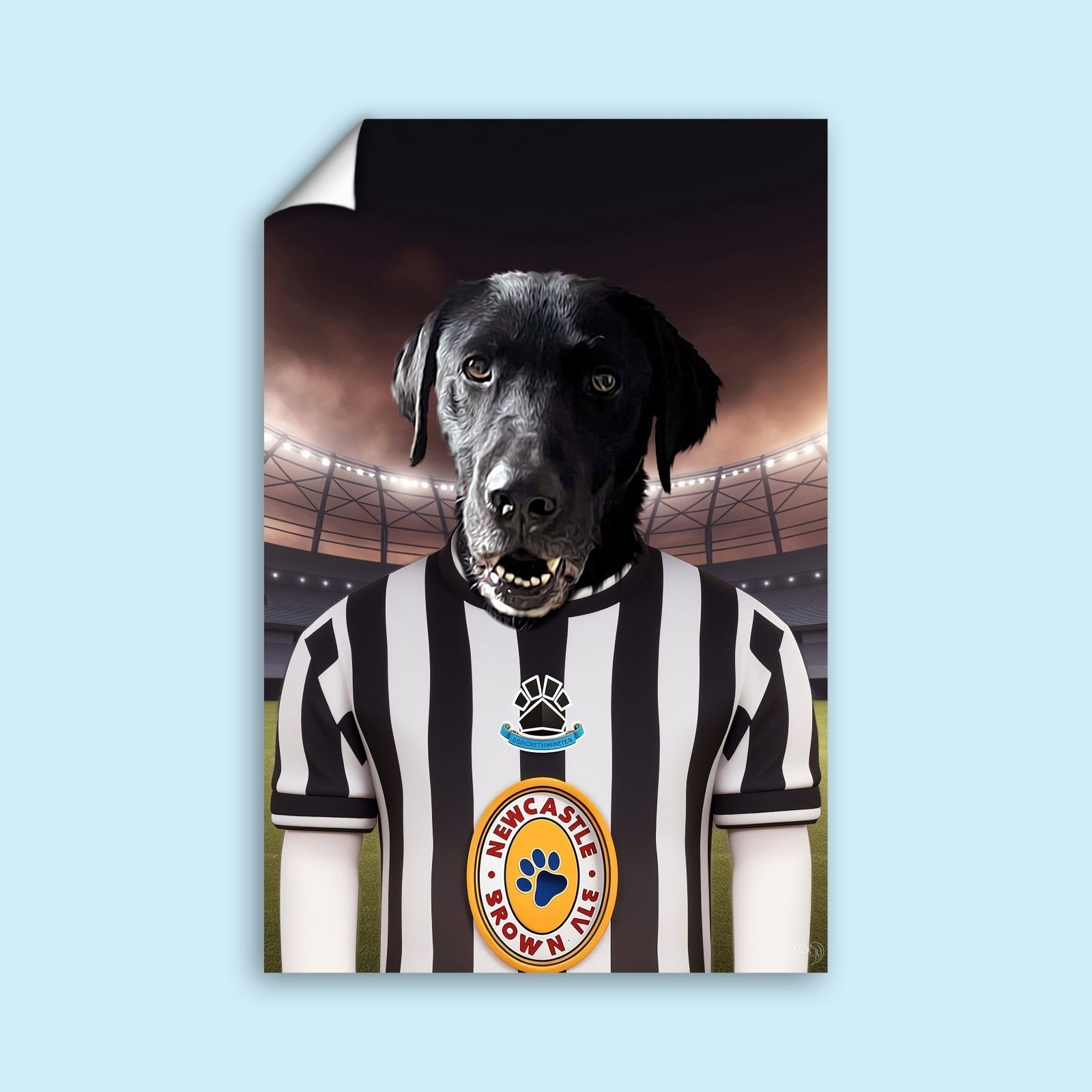 Newcastle United Paw - Squad Pet Portrait - 1 Pet - Furr and Family
