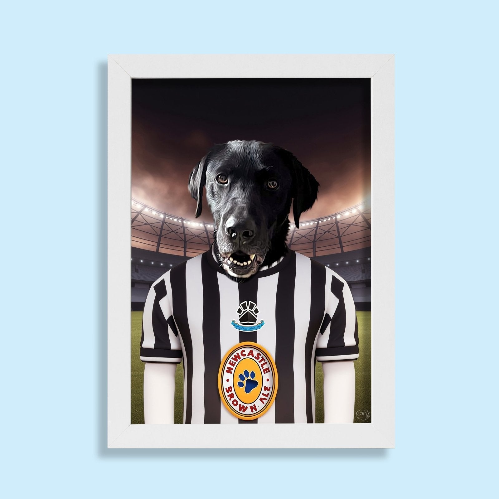 Newcastle United Paw - Squad Pet Portrait - 1 Pet - Furr and Family