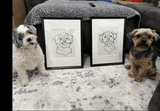 One line art Pet Drawing - Custom Pet Portrait - 1 Pet - Furr and Family