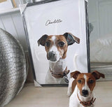 Realistic Pet Portrait - 1 Pet - Furr and Family