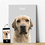 Realistic Pet Portrait - 1 Pet - Furr and Family