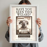 Sirius Bark - Custom Pet Portrait - 1 Pet - Furr and Family