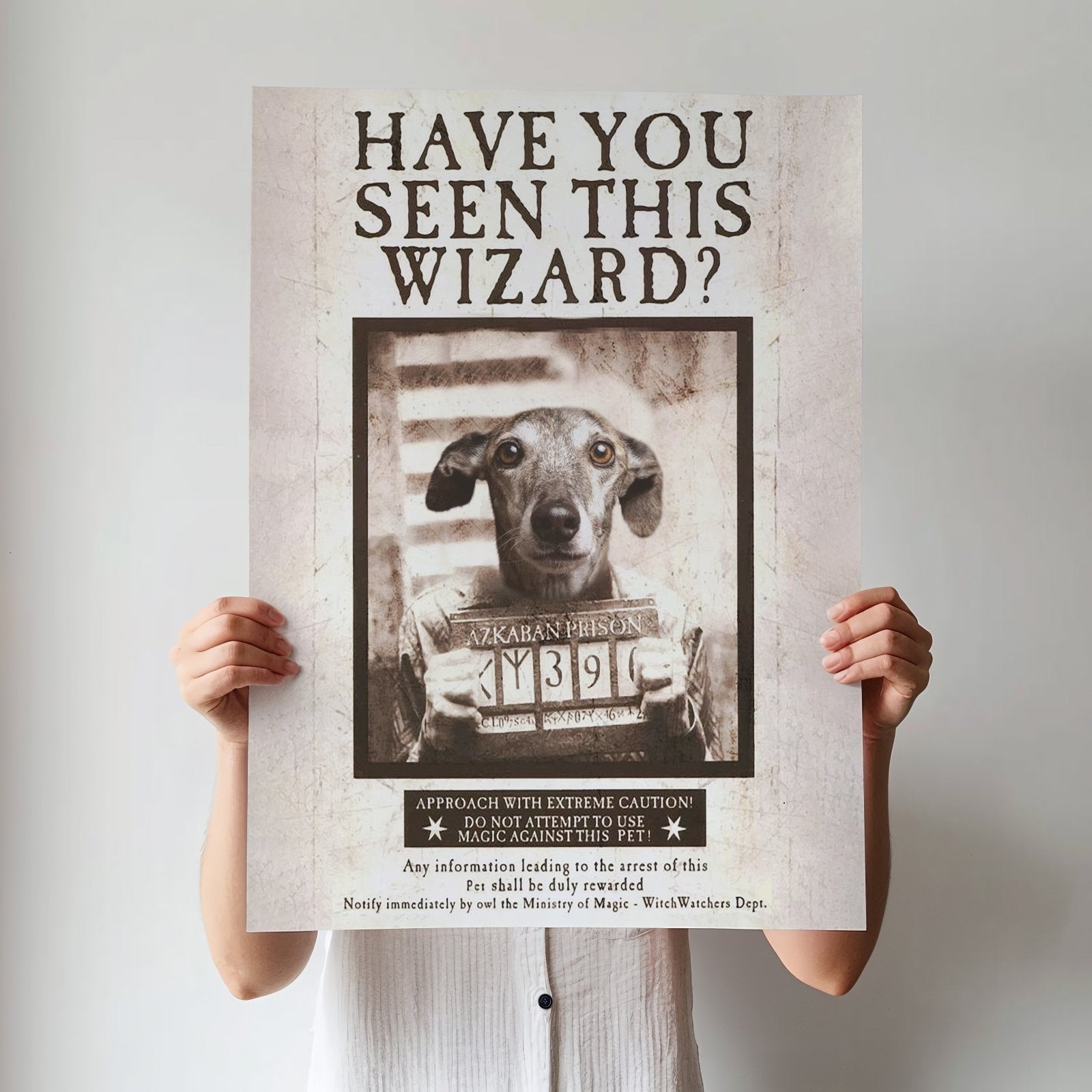 Sirius Bark - Custom Pet Portrait - 1 Pet - Furr and Family