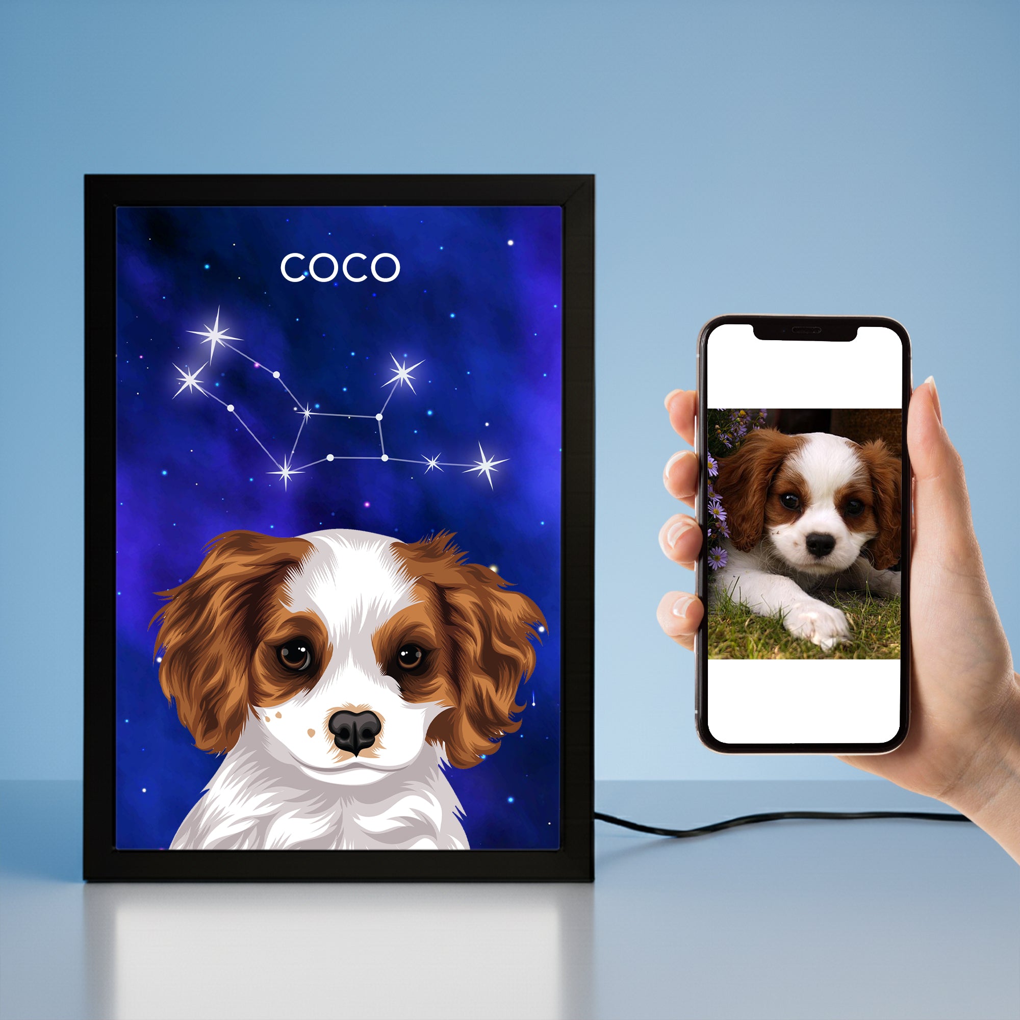 Night Light Pet